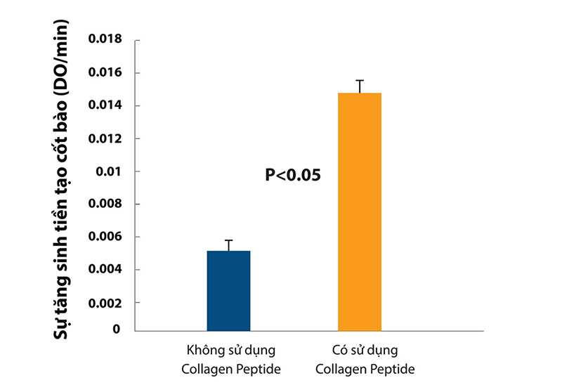 Jex hỗ trợ tăng sinh tạo bào cốt xương