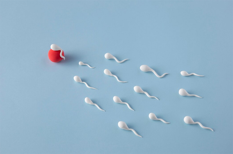 xuất tinh sớm chính là dấu hiệu của yếu sinh lý