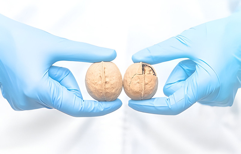 Chấn thương tinh hoàn gây suy giảm testosterone