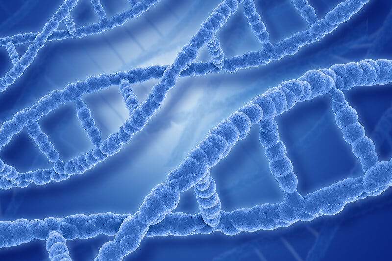 gan nhiễm mỡ có di truyền không