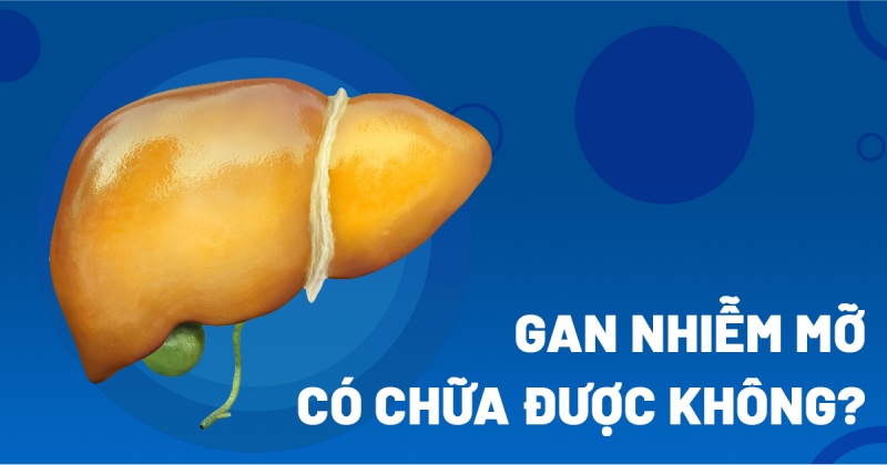 gan nhiễm mỡ có chữa được không