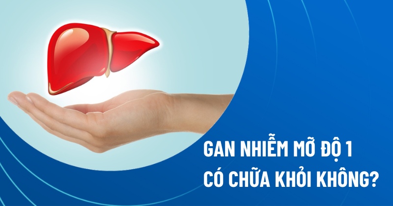 gan nhiễm mỡ độ 1 có chữa khỏi không