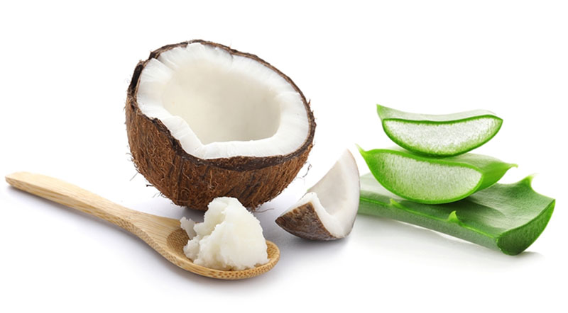 Cách làm trắng da bằng nha đam và dầu dừa