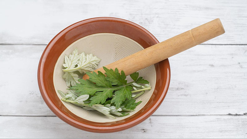 Làm trắng da mặt bằng lá ngải cứu và lá tía tô 