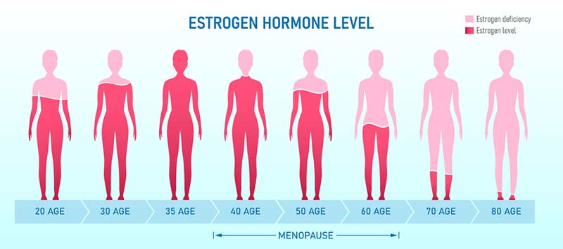nồng độ estrogen và progesterone giảm ở nữ tiền mãn kinh