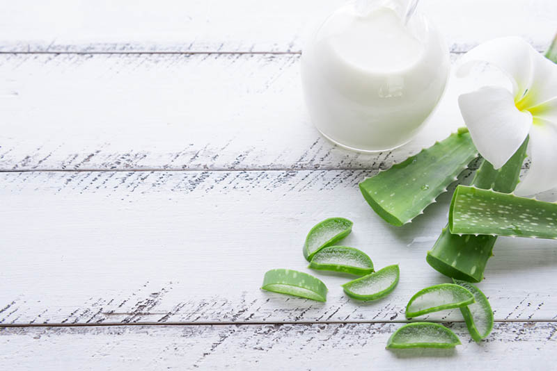 Sữa chua và nha đam làm trắng da