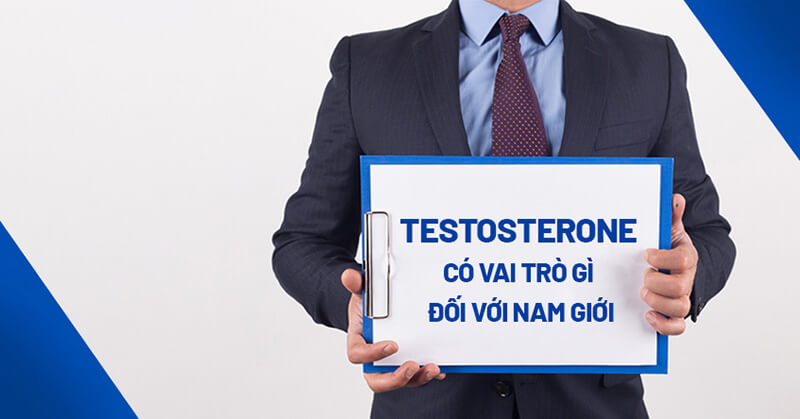 testosterone có vai trò gì quan trọng?
