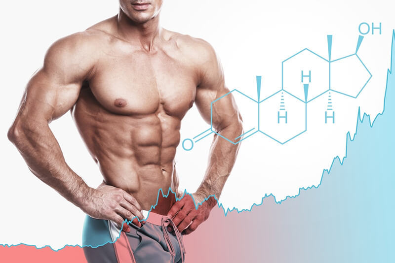 Testosterone có vai trò thúc đẩy cơ bắp và mật độ xương