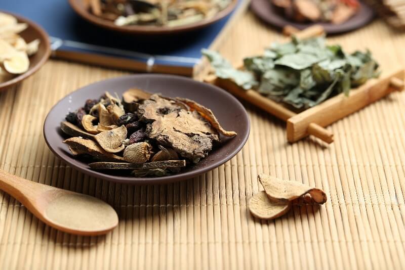 thuốc nam trị gan nhiễm mỡ