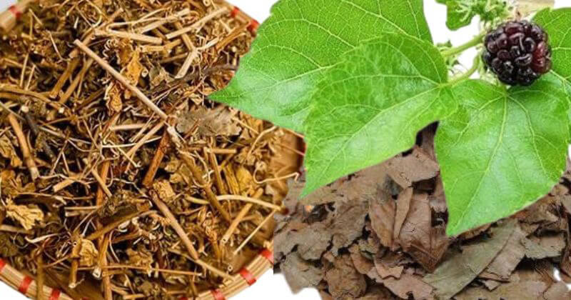 Bài thuốc lạc tiên chữa mất ngủ