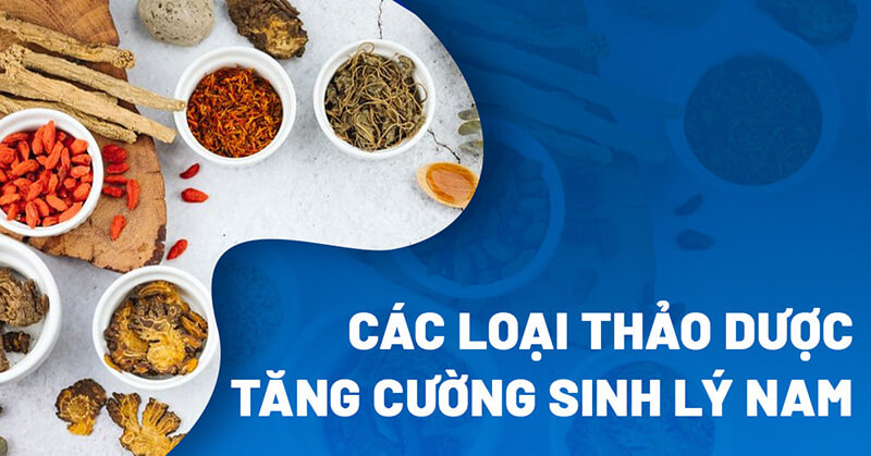 13 thảo dược hỗ trợ tăng cường sinh lý nam tốt được bác sĩ khuyên dùng