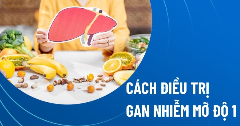 cách điều trị gan nhiễm mỡ độ 1