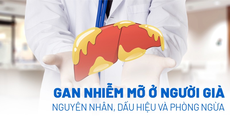 gan nhiễm mỡ ở người già