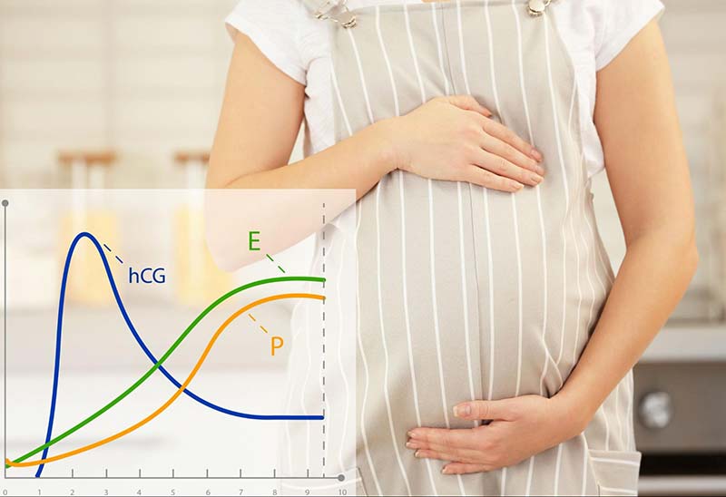 phụ nữ mang thai thay đổi nội tiết