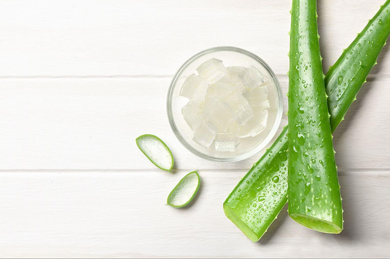 Tắm trắng bằng nha đam và sữa tươi không đường