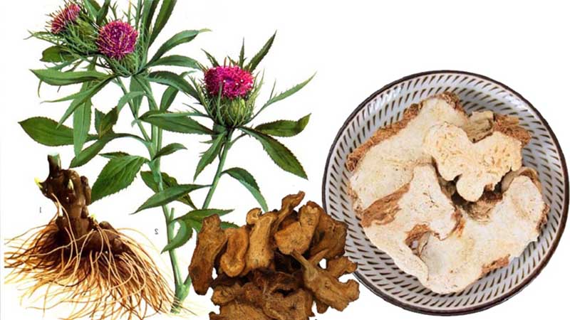 Bài thuốc trị nám bằng thuốc bắc