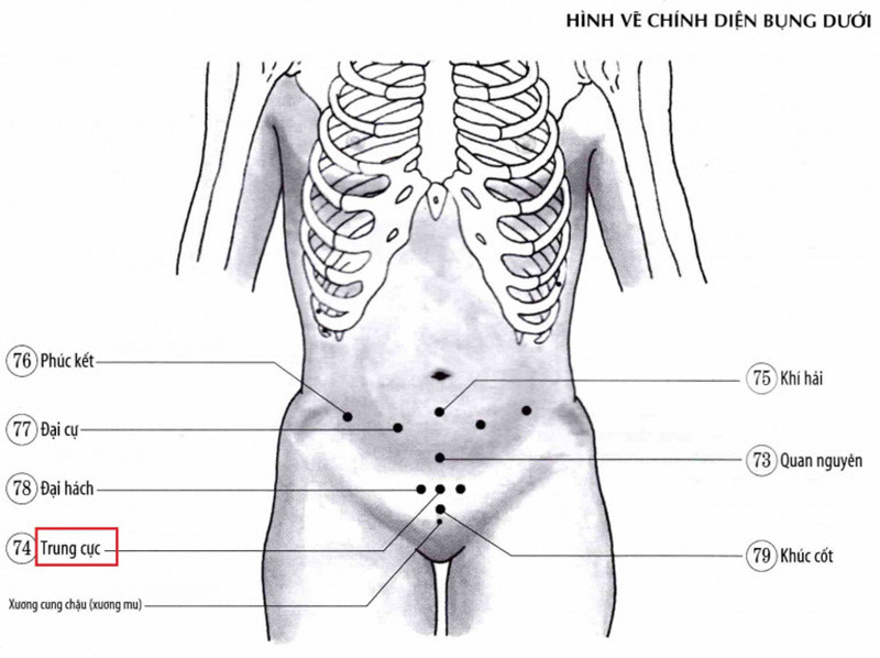 Bấm huyệt khí hải chữa yếu sinh lý
