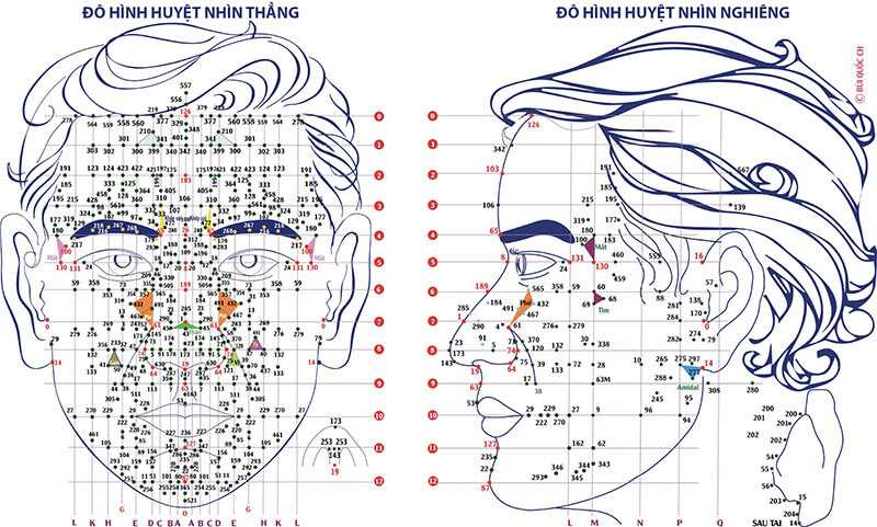 Diện chẩn chữa yếu sinh lý nam là phương pháp dùng tay ấn, xoa vào vị trí của các huyệt đạo