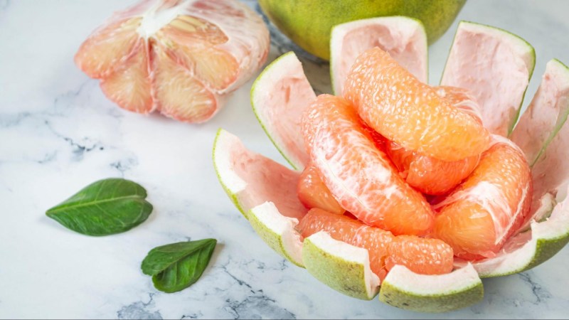 gan nhiễm mỡ nên ăn bưởi