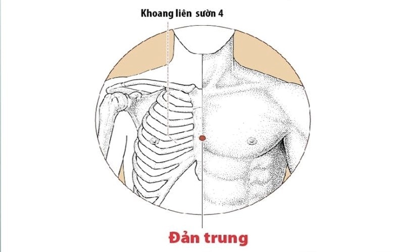 Huyệt đản trung (REN 17)