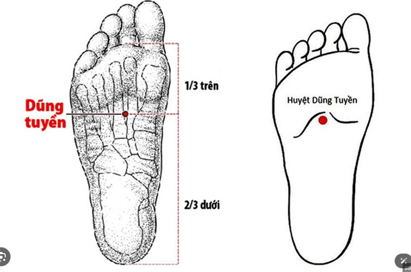 Huyệt Dũng Tuyền nằm ở vị trí thấp nhất trên cơ thể