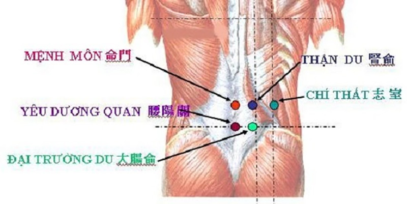 Huyệt mệnh môn trị yếu sinh lý nam