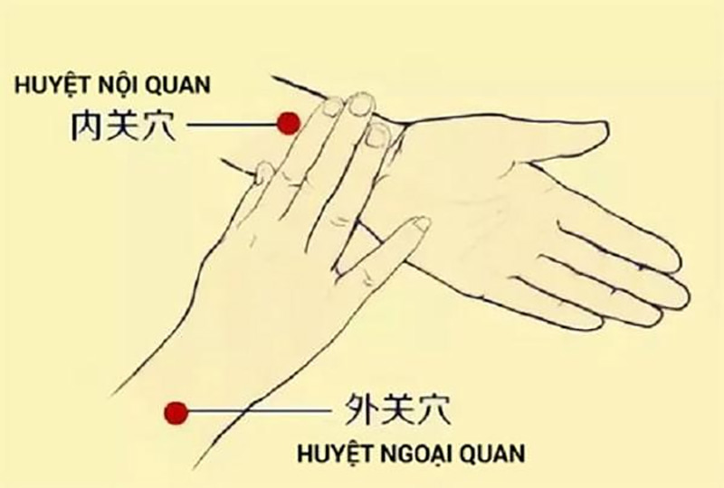 Huyệt Nội Quan nằm ở khe mạch trên cánh tay