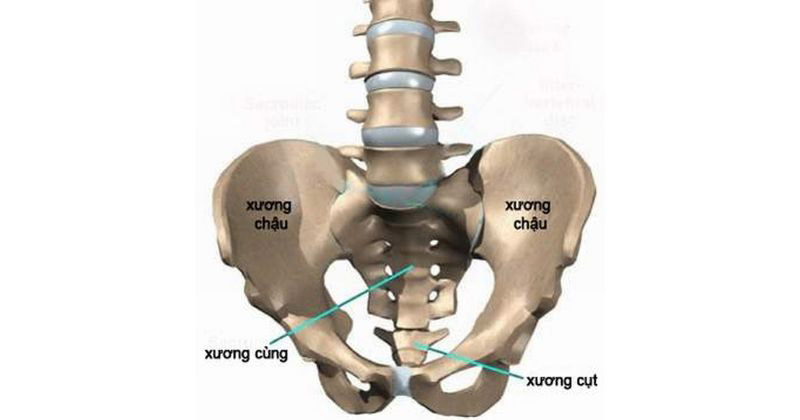 Khớp cùng chậu là gì