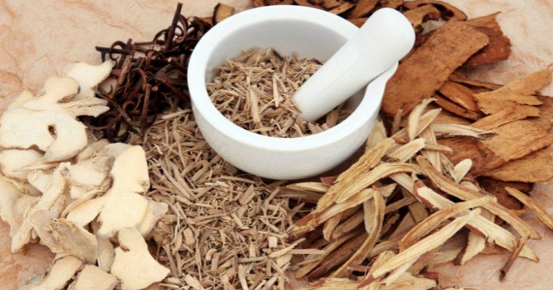 Thuốc bắc trị sạm nám tàn nhang