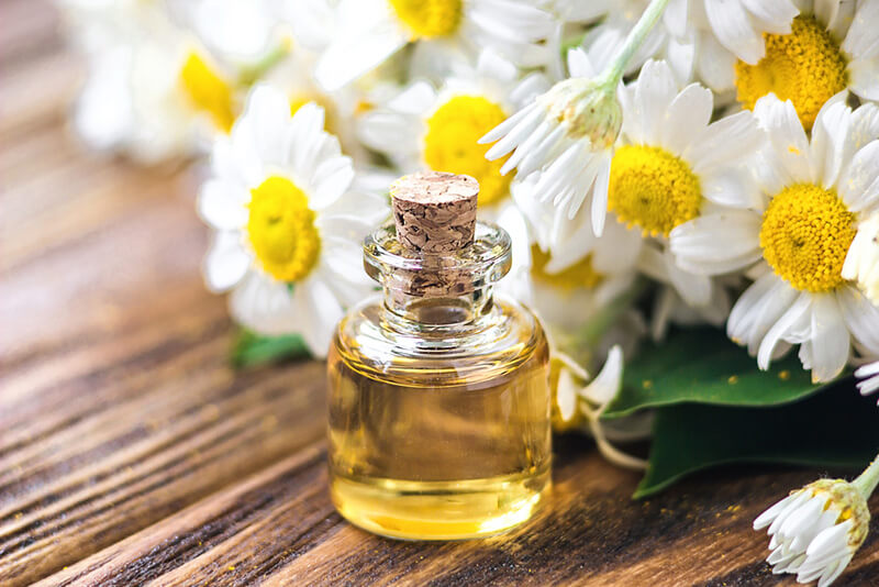 Tinh dầu hoa cúc giúp an thần dễ ngủ