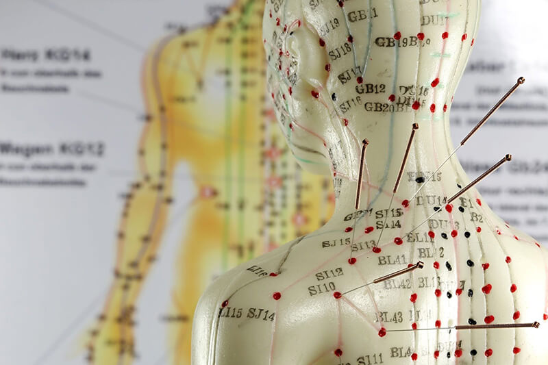 Trên cơ thể người có rất nhiều huyệt đạo