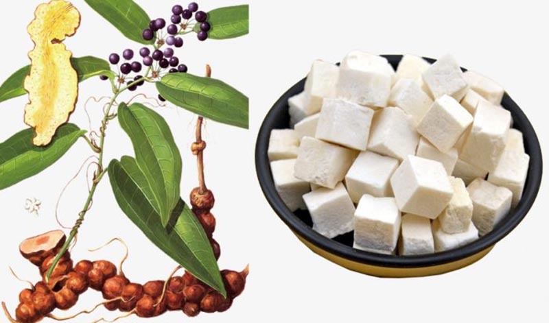 Trị nám bằng thuốc bắc phục linh