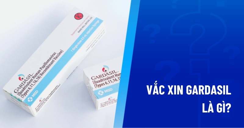 vắc xin gardasil là gì