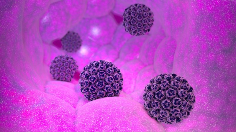 vi rút hpv ảnh hưởng cả nam giới