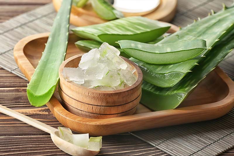 Sử dụng nha đam và nước vo gạo làm trắng da