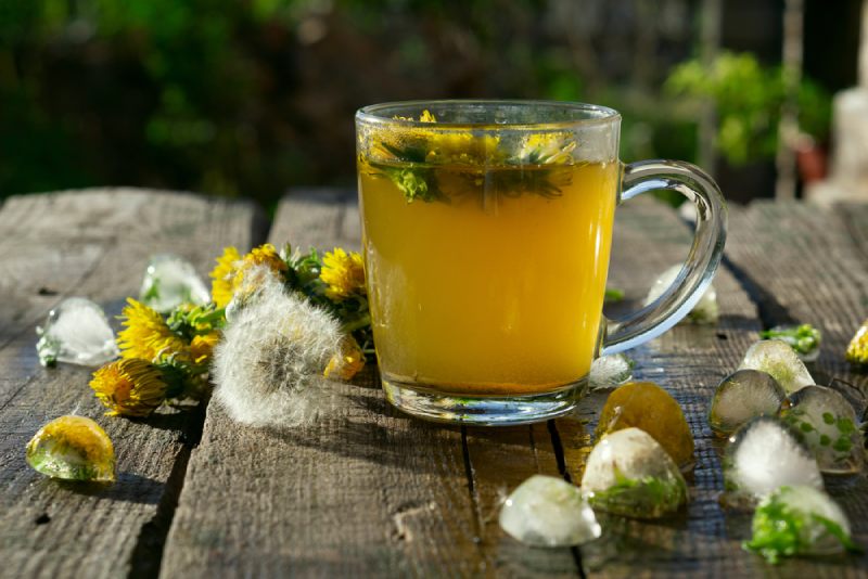 gan nhiễm mỡ uống trà bồ công anh