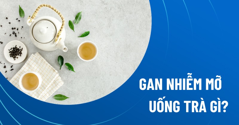 gan nhiễm mỡ uống trà gì