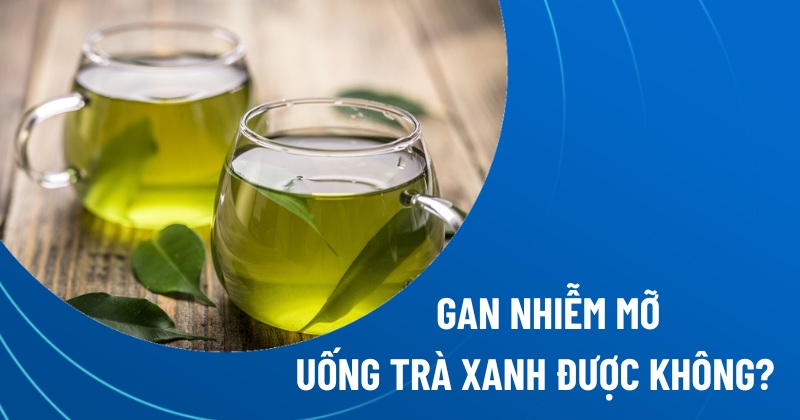 gan nhiễm mỡ uống trà xanh được không