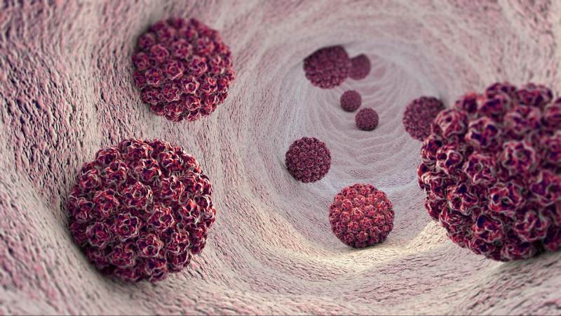 virus hpv gây ra sùi mào gà và nhiều loại ung thư