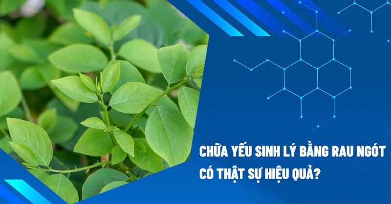 Cách chữa yếu sinh lý bằng rau ngót