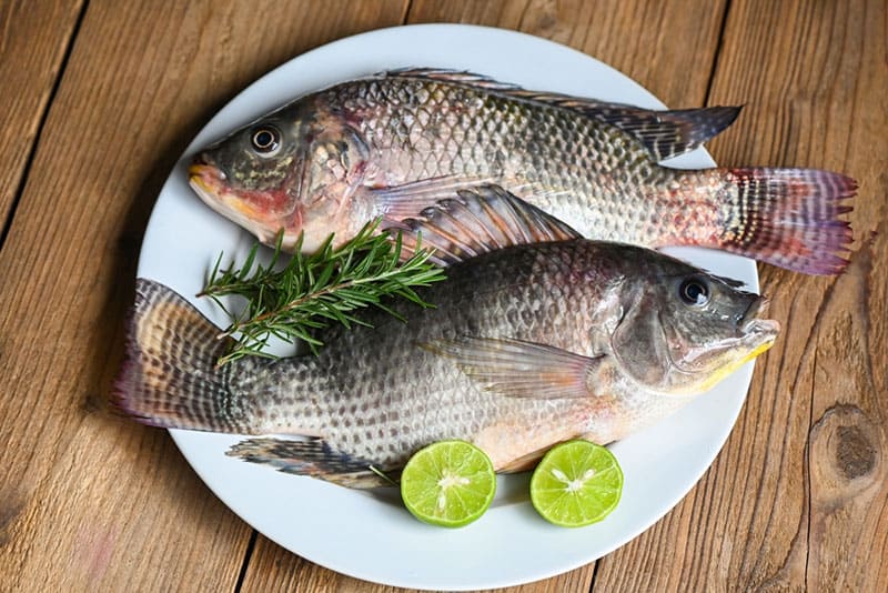 Canh rau ngót cá rô phi cải thiện yếu sinh lý