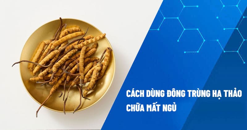 Đông trùng hạ thảo chữa mất ngủ