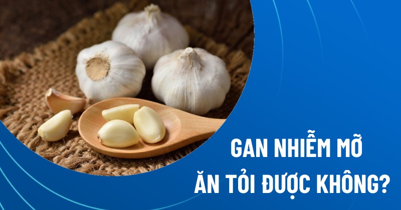 gan nhiễm mỡ ăn tỏi được không