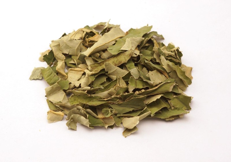 gan nhiễm mỡ uống lá sen