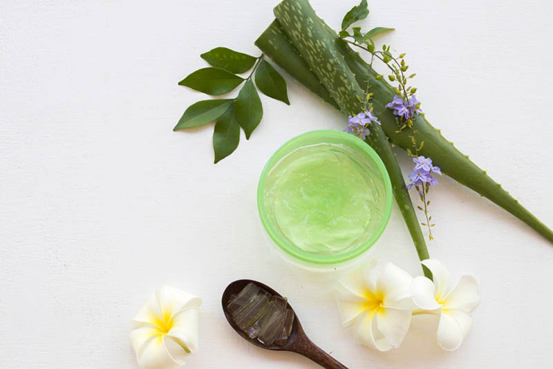 Tắm trắng da body bằng bột trà xanh và nha đam