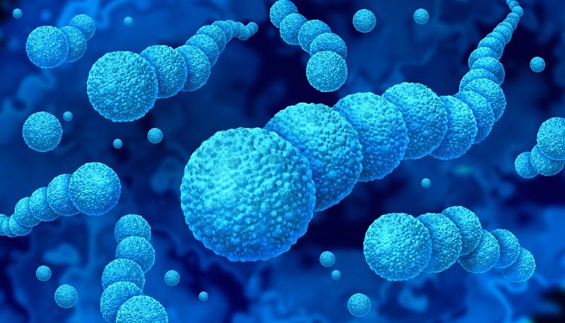 Viêm khớp liên cầu Streptococcus