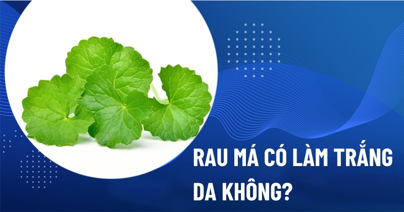 Rau má có làm trắng da không Rau má có làm trắng da không
