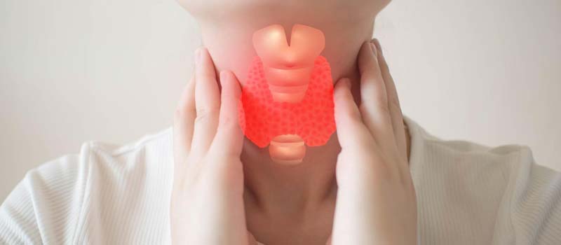 rụng tóc do bệnh lý tuyến giáp