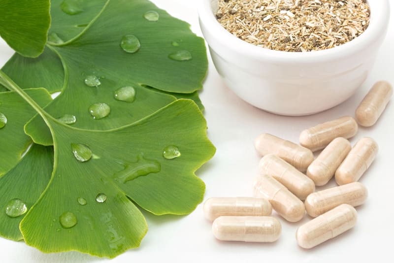 Tinh chất ginkgo biloba chống oxy hóa và gốc tự do