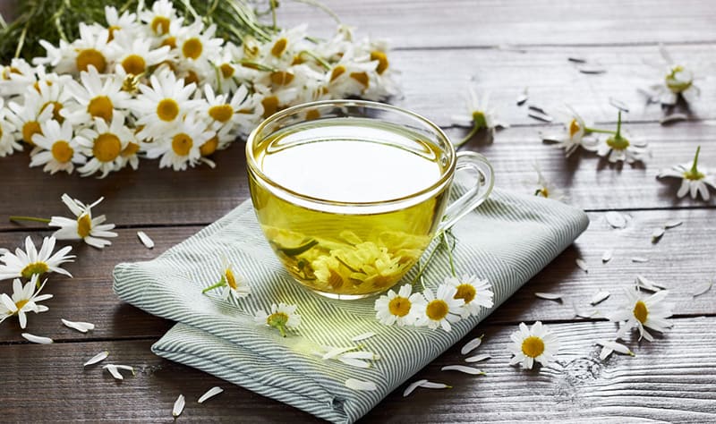 Trà hoa cúc giảm huyết áp và nhiệt độ